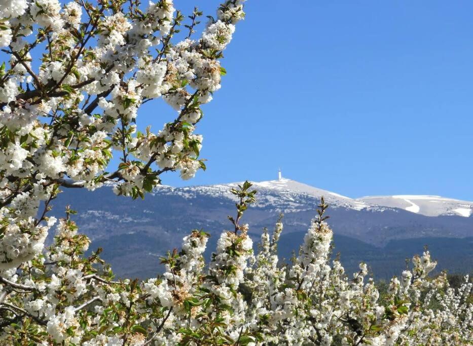 Vila Les Tarraiettes Au Pied Du Luberon Lourmarin Exteriér fotografie